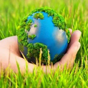 Ecology & Environment